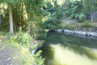 silbersee 7