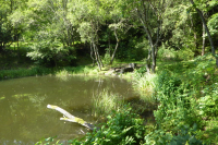 steinernes meer 4
