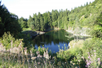tintenfass 1