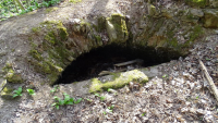 roedelsee 41