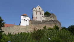 alzenau 13