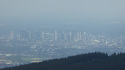 feldberg 13