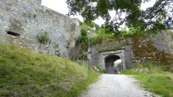 koenigstein 07