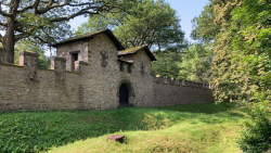 saalburg 10