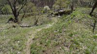 thuengersheim 15