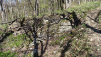 thuengersheim 16