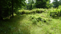 eiringsburg 01