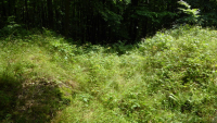 eiringsburg 03