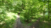 leuchtenburg 01