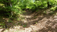 leuchtenburg 05
