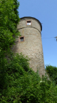 trimburg 04