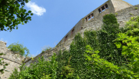 trimburg 07