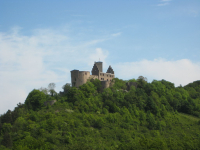 trimburg 08