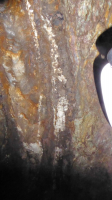 P06