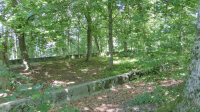 IMG 064