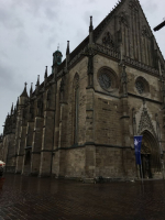IMG 078