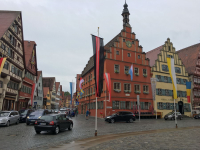 IMG 081