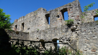 Bramburg 11