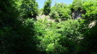 Bramburg 12